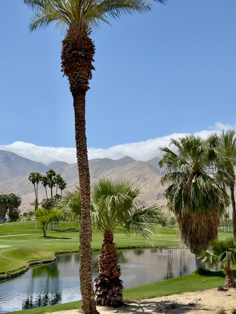 Indian Canyon South Course