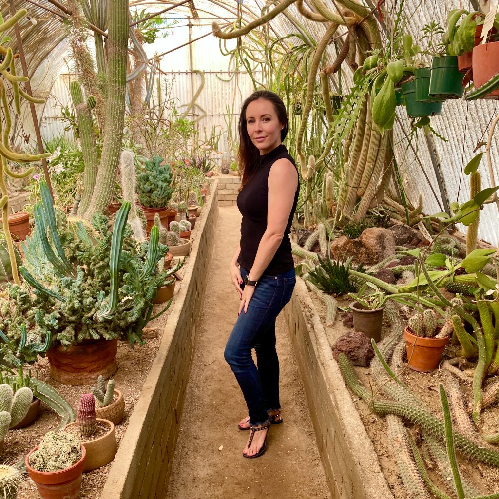 Moorten's Botanical Garden